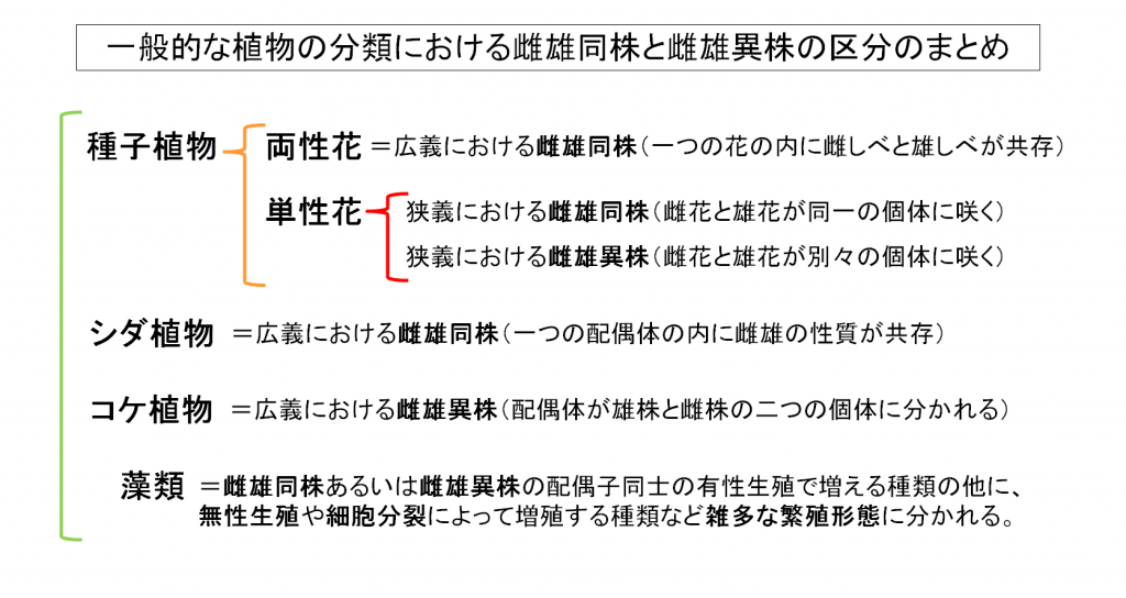 一般的な植物の分類における性別的な区分のまとめ 種子植物 シダ植物 コケ植物 藻類における雌雄同株と雌雄異株の区分 Tantanの雑学と哲学の小部屋