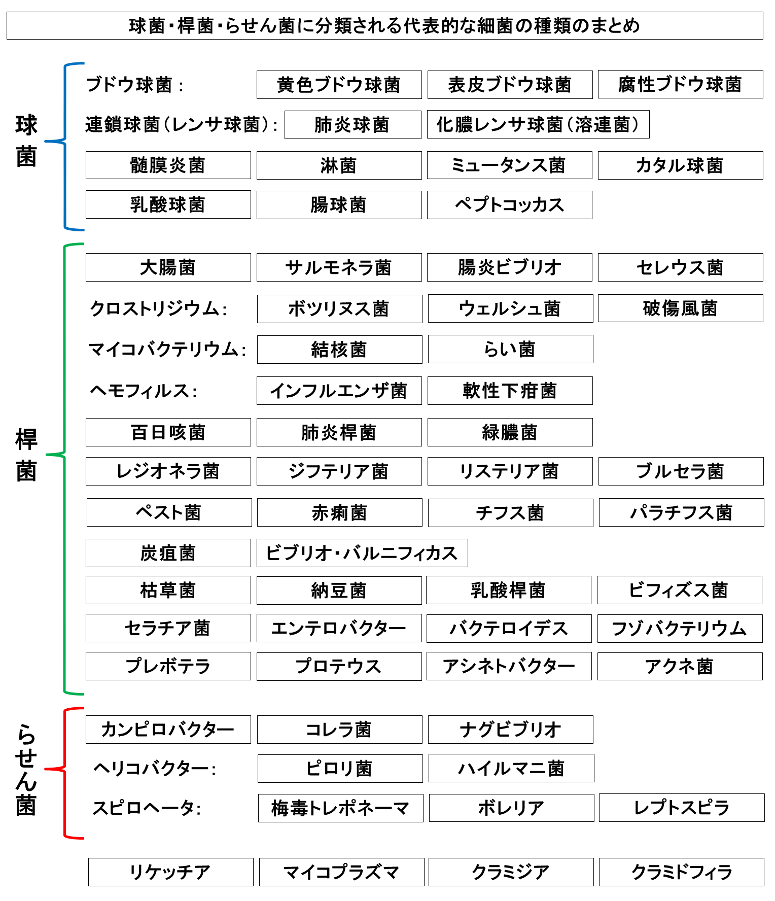 球菌 桿菌 らせん菌に分類される代表的な細菌の種類のまとめ 60種類の代表的な細菌の細胞の形状の違いに基づく分類 Tantanの雑学と哲学の小部屋